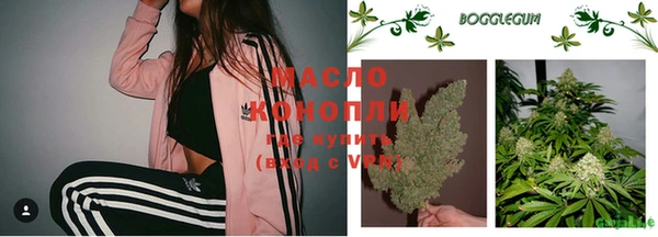 крисы Алексин
