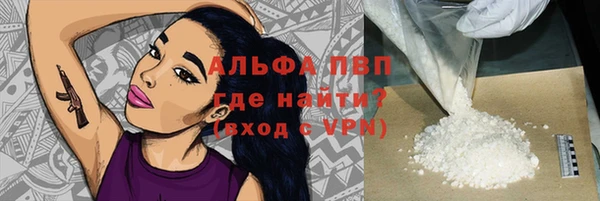 крисы Алексин