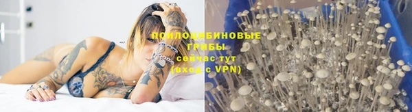 крисы Алексин