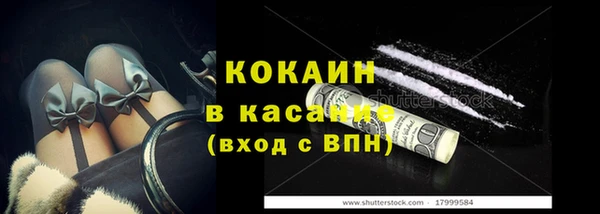 крисы Алексин